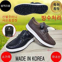 넥스트큐 조던2 남성골프화