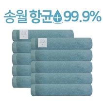 송월타월 클린항균 무지 수건 150g 30수 면사, 터키스, 10개