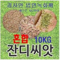 [경사면용/무료배송] 혼합양잔디씨앗 10kg 약100평 무료배송/발아율 80%이상/혼합풀씨 혼합종자 잔디씨 양잔디씨 잔디씨앗 법면녹화 사방공사