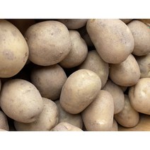 국내산 햇감자 강원도 경북 감자 특사이즈, 특사이즈 10kg, 1개