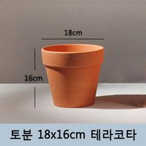 토분 화분 미니토분 다육이 테라코타[지름18cmX높이16cm] 수입도매
