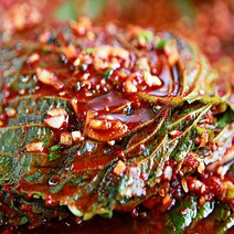 또밥찬 생깻잎 무침 500g 생깻잎무침, 1kg