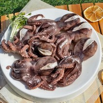 알쭈꾸미1kg (대 8~10미내외)/알배기 주꾸미 급냉/선도좋은 활통관 상품, 1개