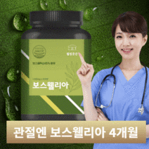 관절연골엔 보스웰리아효능 보스웰릭산 1 000mg 120정, 360