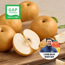 산지직송 나주배 가정용 3kg 4-7과, 1개