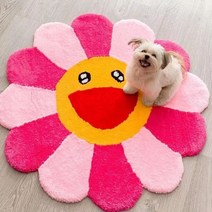 1인 2인 자취 협탁 보조 사이드 미니 개성 독특 신기 패셔너블한 클로크룸 소프트 카펫 모던하고 심플한 침실 침대 옆 장식 러그 가정 방 해바라기 얼룩 방지, 19.B  300x300cm