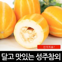 진짜 성주 꿀 참외 못난이 3kg 5kg 17900원포장재무게포함, 진짜성주꿀참외못난이 포장제무게포함, 11kg대과