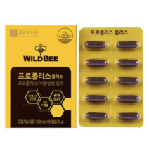 종근당건강 와일드비 프로폴리스 플러스 500mg x 180캡슐 3박스 6개월분