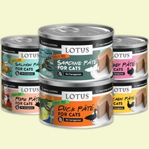 로투스 캔 그레인프리 파테 고양이 주식캔 78g, 치킨 파테 70g