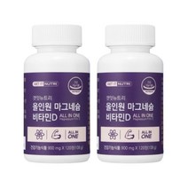 겟잇뉴트리 대용량 올인원 마그네슘 비타민D 마그 네시움 비 비타민BD 120정 2개