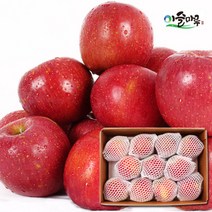[산지직송] 경북 의성 사과 2.5kg(10~12과), 단품