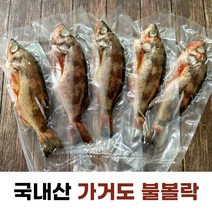신안 가거도 국내산 손질 불 볼락 열기(특대 1미 250g)개별포장, 특대 5미
