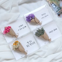 드라이플라워 카드 모음전(+문구)/가로형 엽서/생일 감사 기념일편지 메시지, 문구추가 20자이내, 09. 미니장미(크림)