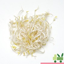 사라상회 숙주나물 4Kg