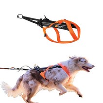 Non-stop dogwear Freemotion Harness 5.0 강아지 풀링 하네스 강아지와 함께 달리기 자전거 타기 및 스키와 같은 스포츠용 전문가용 조절 가능한 개, 3_Orange / Black