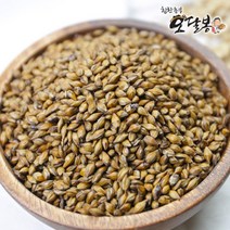 힘찬농부오달봉 2022년산 국산보리차 볶은보리, 1개, 2kg