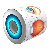 눈으로 보는 눈의 구조(1인용)/SF