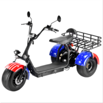 2023 3륜 와이드 타이어 전기 자전거 전동 스쿠터, 상세 페이지 참고, X5 3륜 납산 12A 60V