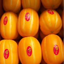 프리미엄 성주참외 못난이참외 실중량 10kg 5kg 3kg 10키로 성주원예농협, 2kg, 로얄과 가정용혼합(고당도)
