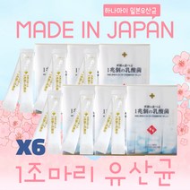 일본유산균 1조마리 유산균 6박스 선물추천 유산균선물추천 MADE IN JAPAN 프로바이오틱스유산균