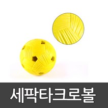 세팍타크로볼 키드짐/공인구/공인볼/한국세팍타크로/
