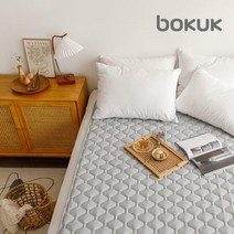 보국전자 전기요 시리즈 16종 택 1 (싱글/더블), BKB-0503D