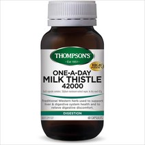 (호주/뉴질랜드) 1+1 THOMPSONS 톰슨 톰슨스 밀크시슬 60정 MILK THISTLE 42000, 2개