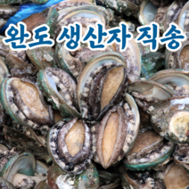 완도 전복 활전복 설 선물 세트 꼬마전복 명절선물 전복직거래 6미 7미 8미~50미 1kg, 1kg 31-40미