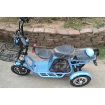 전기 스쿠터 Daibot-3 휠 12 인치 500W 48V 30 KM/H 휴대용 세발자전거 오프로드 자전거, 06 Blue 20AH 75-80KM
