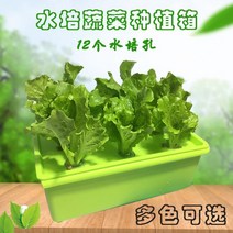 식물 재배기 수경 집에서상추키우기 콩나물 토양 재배 야채 장비 가족 발코니 기계 실내 자동 상자 플라스틱 화분, 그린 사일런트 수경재배 탱크, 중간