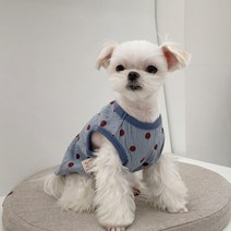 국내산 원단 사계절 강아지옷 실내복 도트 면 나시, 블루