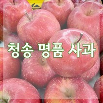산지직송 청송 꿀 사과 부사 햇 사과 직거래 5kg 10kg 중과 대과 특대과 가정용 선물용 선물세트 (15과수~22과수), 1. 부사 5kg (18~20과)