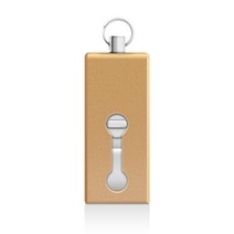 레빗 메탈스윙 C타입 OTG USB메모리 골드 / 맥북USB, 64GB