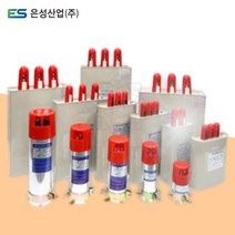 은성산업 저압진상콘덴서 220V 10-1000uf 단상/삼상, 220V삼상, 750uf