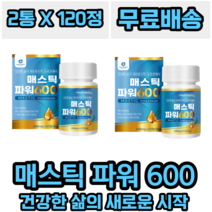 뉴트로웨이 매스틱 파워 식 약처 인 증 프락토올리고당 감초추출분말 프리미엄 그리스 산 18곡효소혼합분말 회화나무 열매 알로에 추출분말 2종혼합유산 히알루론산 혼합분말, 2개