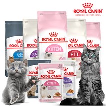 로얄캐닌 습식사료(파우치)85g 건식사료 1.5kg 인도어2kg 모음, 건식 사료, 키튼 2kg