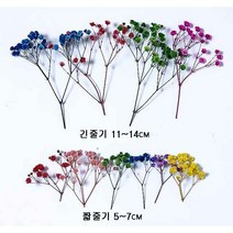 수앤로즈플라워 유칼립투스 미스티블루 모음 드라이플라워 리본모음 프리저브드 데코활용 사진촬영 말린꽃 디퓨저재료 하바리움재료 초대장만들기 청첩장만들기 예쁜리본, 짧은 길이 안개꽃(5~7cm), 그린