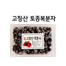 5kg 고창산 토종 복분자 생과 냉동과