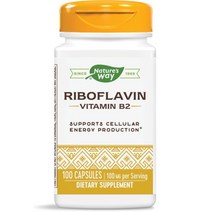 네이쳐스웨이 비타민 B2 100 mg 리보플라빈 캡슐, 100개입 × 1개
