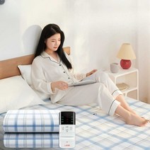 캠핑전기장판 야외 낚시 아웃도어용 담요, 진드기 제거A