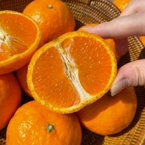 새콤달콤 제주 카라향 1.5kg 2kg 4kg (업체별도