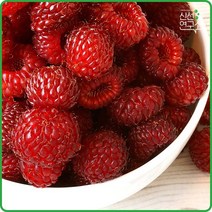[신선연구소] GAP인증 포항 보경 햇 산딸기(냉동) 250g*4팩, 4개