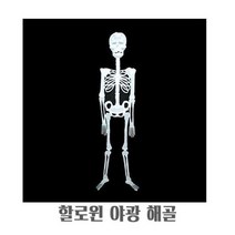 할로윈 야광 해골 모형 장식품 파티 소품 꾸미기