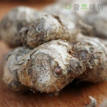 나물투데이 국내산 흙생강 1kg 1개 국산 생강