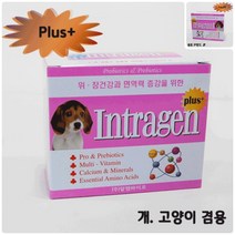 욜로맘 인트라젠 플러스 스틱 면역강화제 애견피부영양제