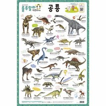 웅진북센 룰루랄라 사운드벽보 공룡 양면벽보, One color | One Size@1