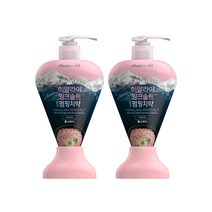 죽염 히말라야 핑크솔트 담은 펌핑 치약 플로럴민트, 2개입, 285g