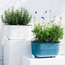 에이치 스토리 직사각 자흡수 원예 화분(식물 미포함), 화이트