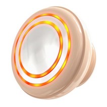 갈바닉 미세 전류 피부 퍼밍 기계 셀룰라이트 제거 EMS 근육 가열 지방 연소 바디 쉐이핑 체중 감소 미용 도구, PINK SET, 02 PINK SET