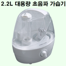 집이 방이 집 방 건조할때 자취방 가습기 안방 작은방 세척 청소 쉬운 겨울 건조한 원룸 아파트 사무실 거실, 화이트